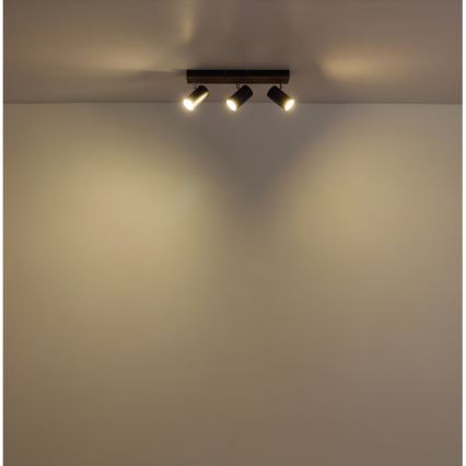 Globo - Akcentinis apšvietimas 3xGU10/25W/230V juoda