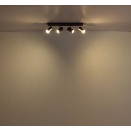 Globo - Akcentinis apšvietimas 4xGU10/25W/230V juoda