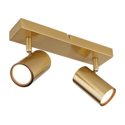 Globo - Akcentinis apšvietimas 2xGU10/35W/230V auksas