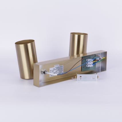 Globo - Akcentinis apšvietimas 2xGU10/35W/230V auksas