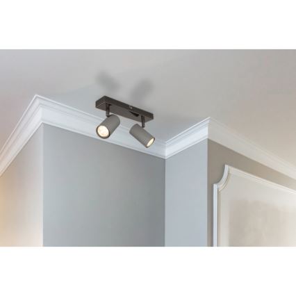 Globo - Akcentinis apšvietimas 2xGU10/25W/230V