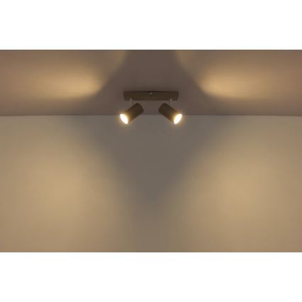 Globo - Kryptinis šviestuvas 2xGU10/35W/230V