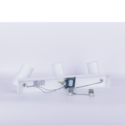 Globo - Akcentinis šviestuvas 3xGU10/35W/230V baltas