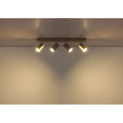 Globo - Taškinis šviestuvas 4xGU10/35W/230V