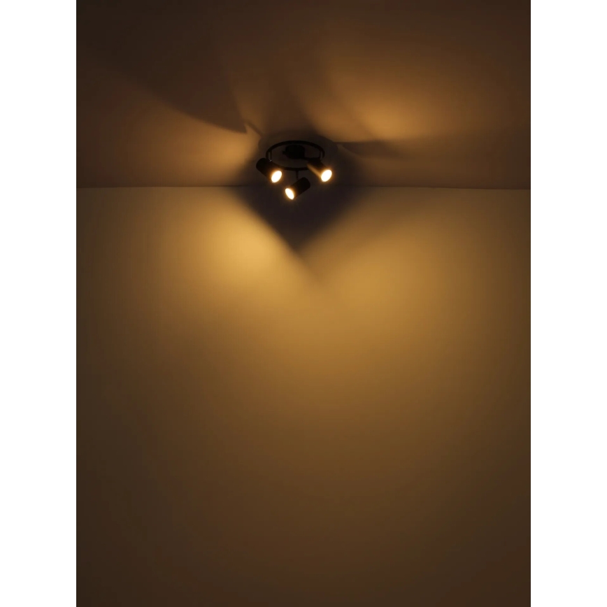 Globo - Akcentinis apšvietimas 3xGU10/25W/230V juoda