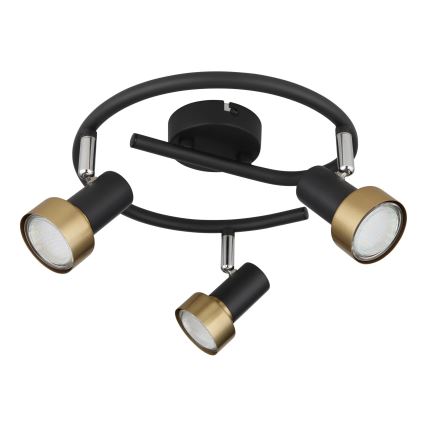 Globo - Akcentinis apšvietimas  3xGU10/25W/230V juoda/auksas