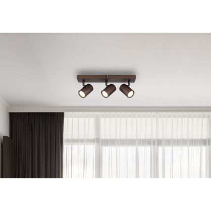 Globo - Akcentinis apšvietimas 3xGU10/25W/230V ruda