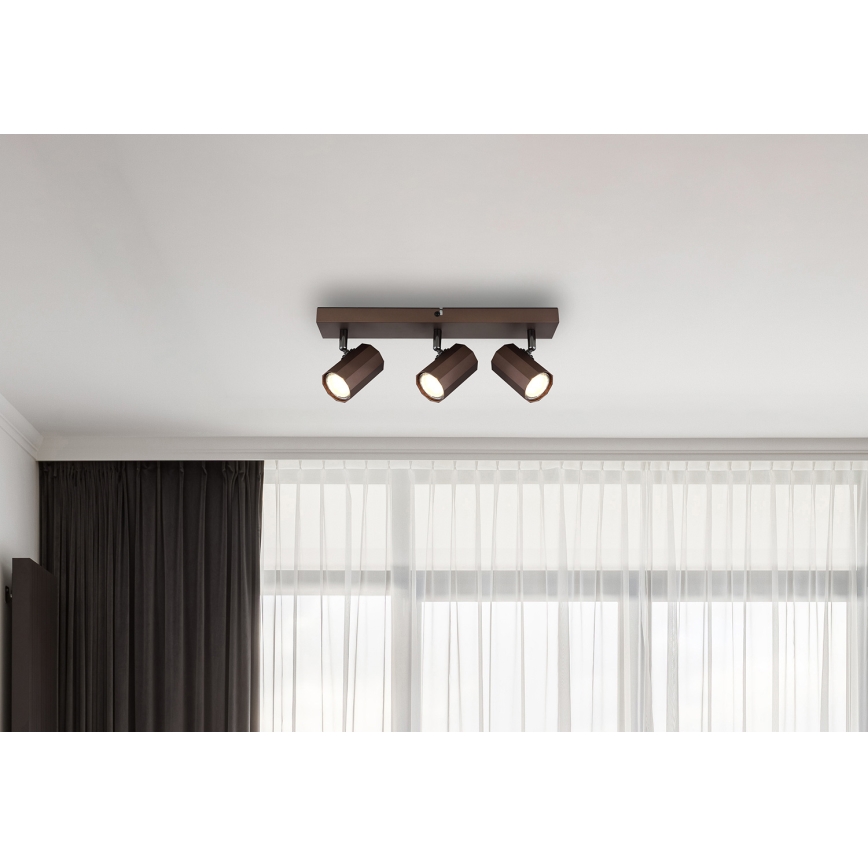Globo - Akcentinis apšvietimas 3xGU10/25W/230V ruda