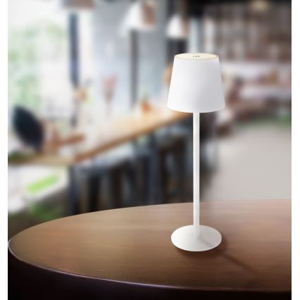 Globo - LED pritemdoma jutiklinė lauko lempa  LED/3W/3,7V IP44 1800 mAh USB balta