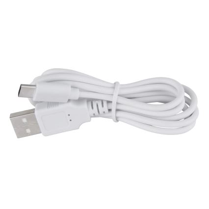Globo - LED pritemdomas, liečiamas stalinis šviestuvas LED/1W/3,7V 3000K 1800 mAh USB rausva