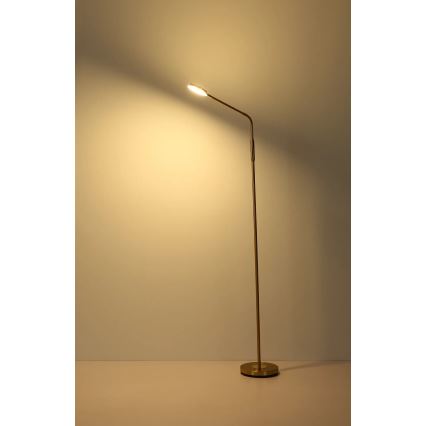 Globo - dimeriuojama jutiklinė grindų LED lempa LED/6,5W/230V 2700/3350/4000K žalvaris