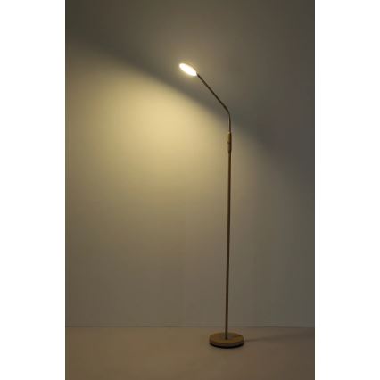 Globo - dimeriuojama jutiklinė grindų LED lempa LED/6,5W/230V 2700/3350/4000K smėlio spalvos