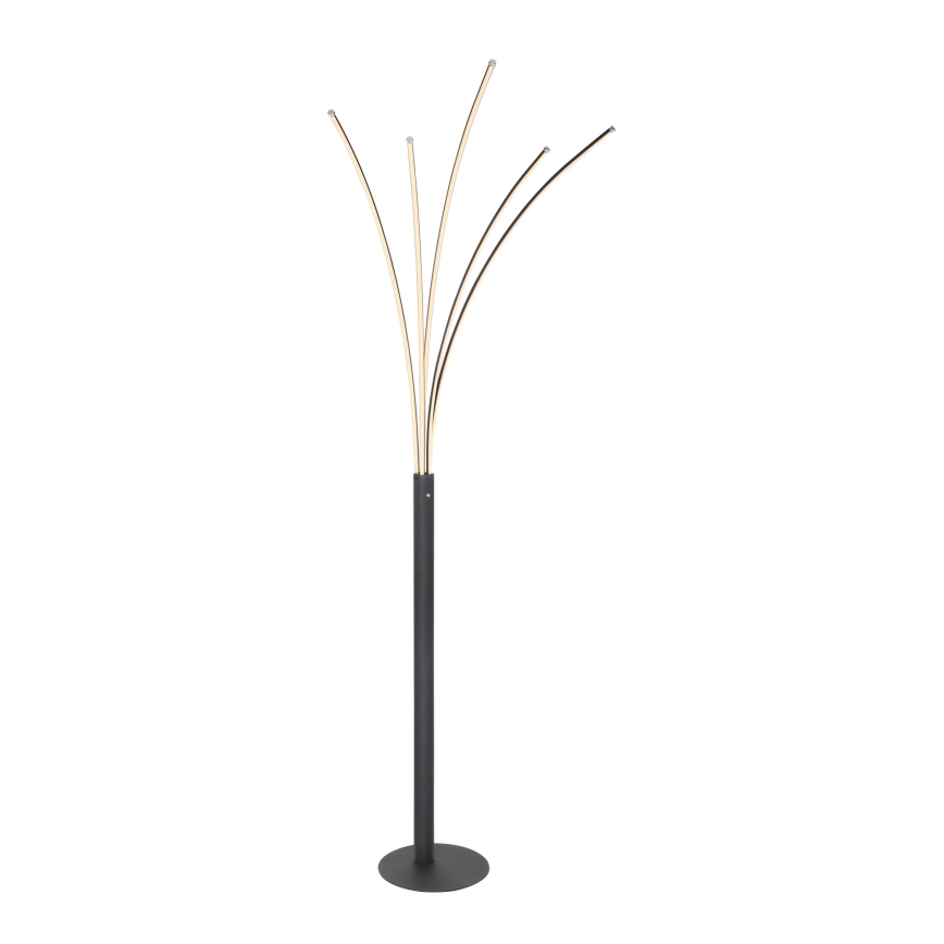 Globo - LED reguliuojama jutiklinė grindinė lempa LED/36W/230V juoda