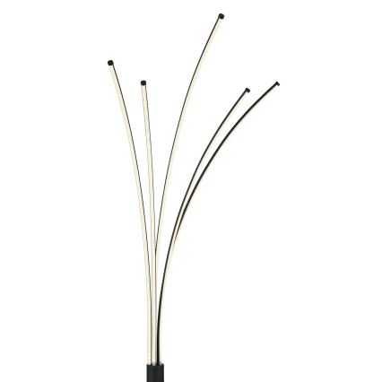 Globo - reguliuojamo ryškumo LED grindinė lempa LED/36W/230V 3000-6000K Wi‑Fi Tuya + nuotolinio valdymo pultas
