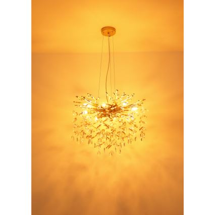 Globo - Pakabinama liustra ant laido 8xE14/40W/230V auksinė