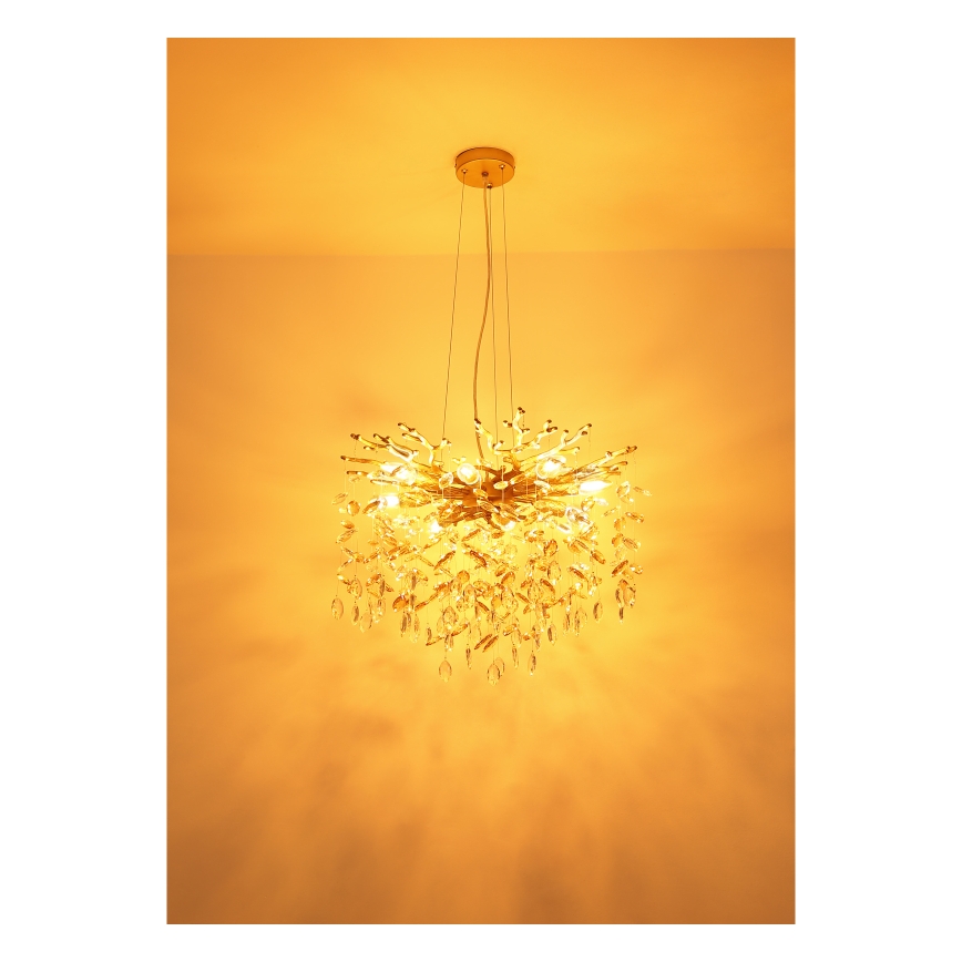 Globo - Pakabinama liustra ant laido 8xE14/40W/230V auksinė