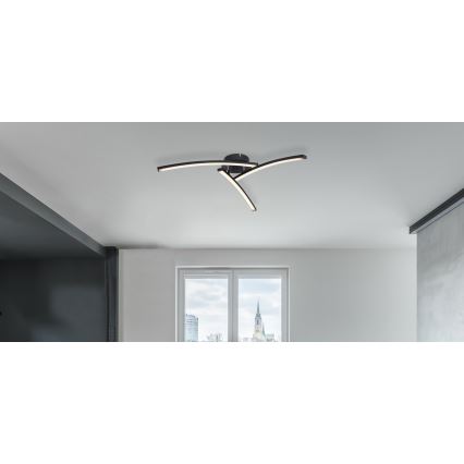 Globo - LED Ant pagrindo montuojamas sietynas 3xLED/6W/230V 3000/4000/6000K