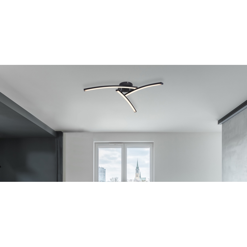 Globo - LED Ant pagrindo montuojamas sietynas 3xLED/6W/230V 3000/4000/6000K