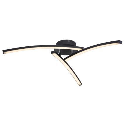 Globo - LED Ant pagrindo montuojamas sietynas 3xLED/6W/230V 3000/4000/6000K
