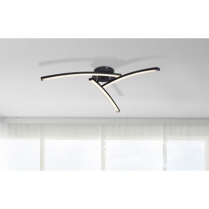 Globo - LED Ant pagrindo montuojamas sietynas 3xLED/6W/230V 3000/4000/6000K