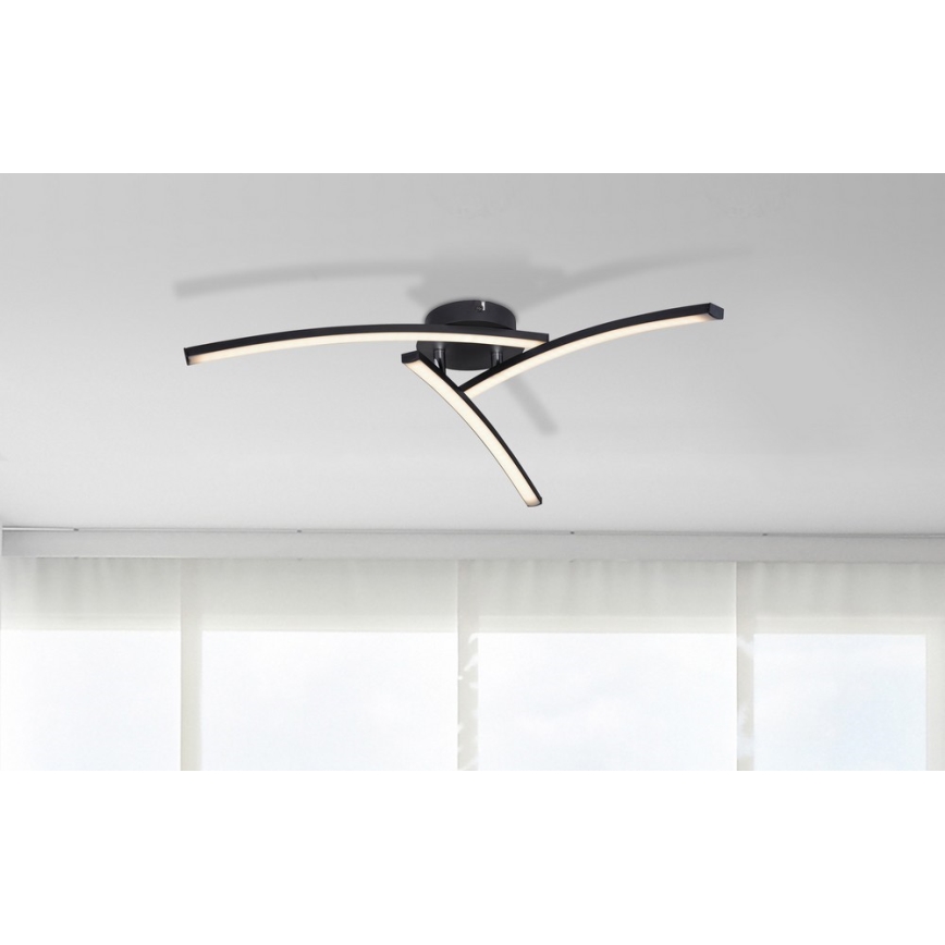 Globo - LED Ant pagrindo montuojamas sietynas 3xLED/6W/230V 3000/4000/6000K
