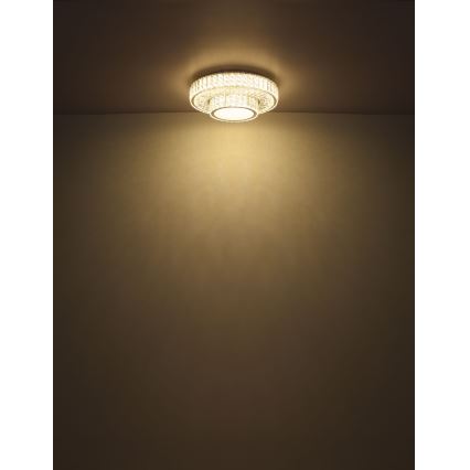 Globo - LED reguliuojamas lubų šviestuvas LED/50W/230V 2700-6000K skersmuo 50 cm + nuotolinio valdymo pultas