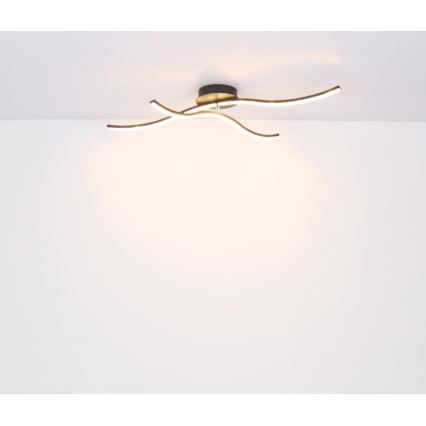 Globo - LED Ant pagrindo montuojamas sietynas LED/20W/230V