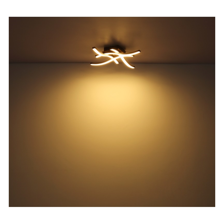 Globo - LED Ant pagrindo montuojamas sietynas 4xLED/5W/230V