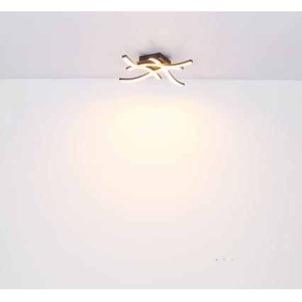 Globo - LED Ant pagrindo montuojamas sietynas 4xLED/5W/230V