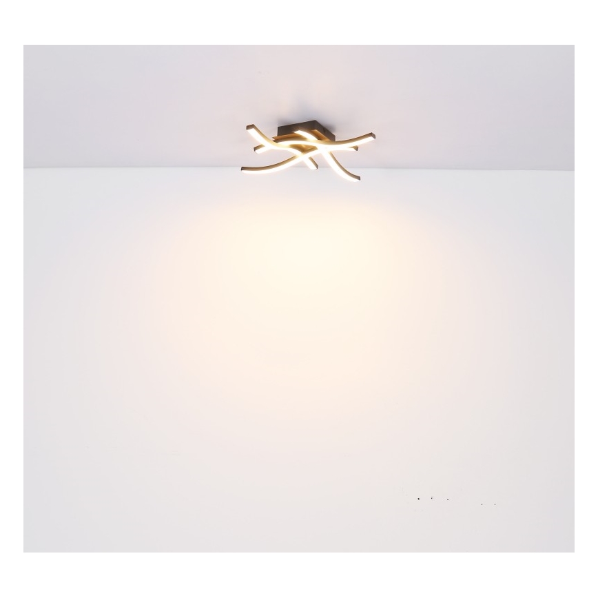 Globo - LED Ant pagrindo montuojamas sietynas 4xLED/5W/230V