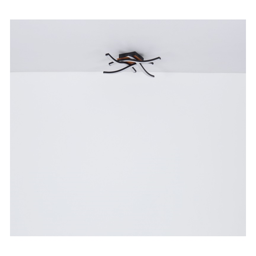 Globo - LED Ant pagrindo montuojamas sietynas 4xLED/5W/230V