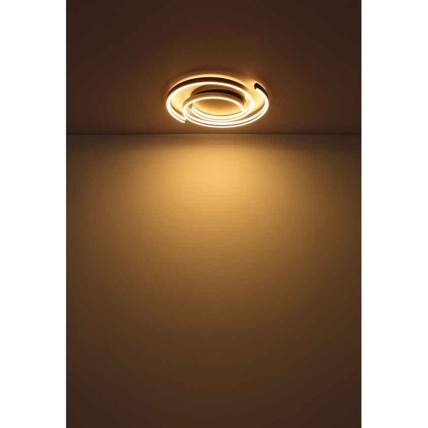 Globo - LED lubinis šviestuvas LED/38W/230V