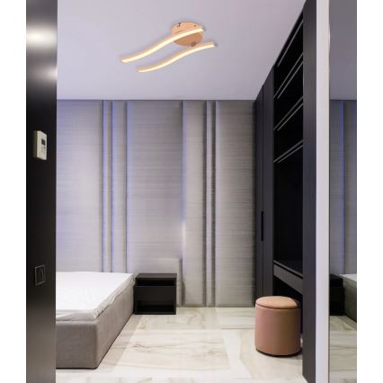 Globo - LED Ant pagrindo montuojamas sietynas LED/12W/230V 3000K oranžinė