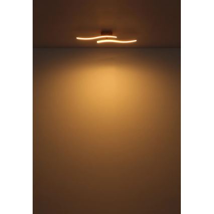 Globo - LED Ant pagrindo montuojamas sietynas LED/12W/230V 3000K oranžinė