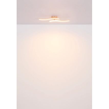Globo - LED Ant pagrindo montuojamas sietynas LED/12W/230V 3000K oranžinė