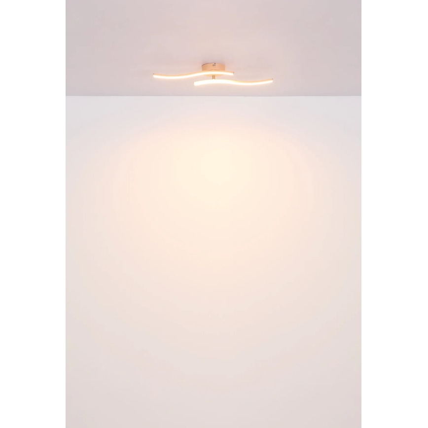 Globo - LED Ant pagrindo montuojamas sietynas LED/12W/230V 3000K oranžinė