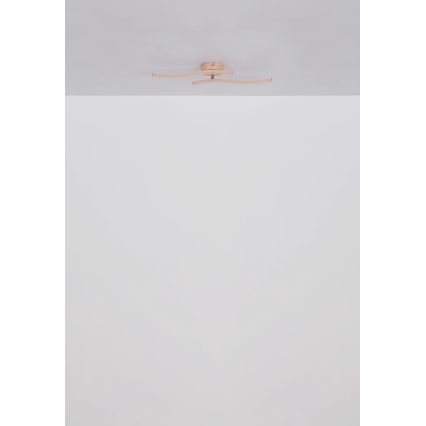 Globo - LED Ant pagrindo montuojamas sietynas LED/12W/230V 3000K oranžinė