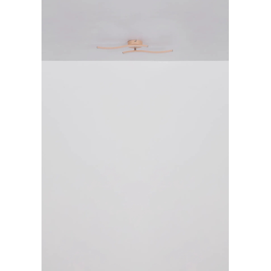 Globo - LED Ant pagrindo montuojamas sietynas LED/12W/230V 3000K oranžinė