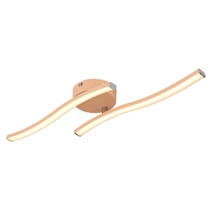 Globo - LED Ant pagrindo montuojamas sietynas LED/12W/230V 3000K oranžinė