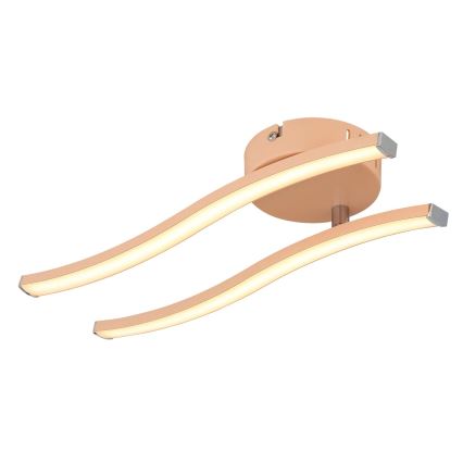 Globo - LED Ant pagrindo montuojamas sietynas LED/12W/230V 3000K oranžinė