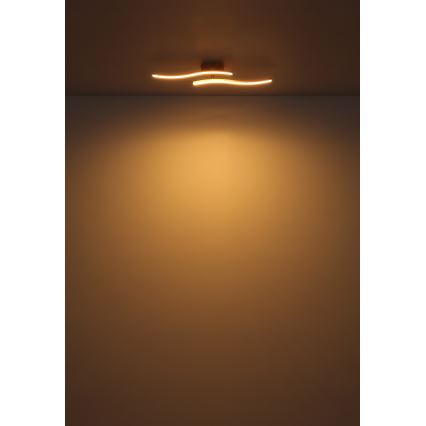 Globo - LED Ant pagrindo montuojamas sietynas LED/12W/230V 3000K balta