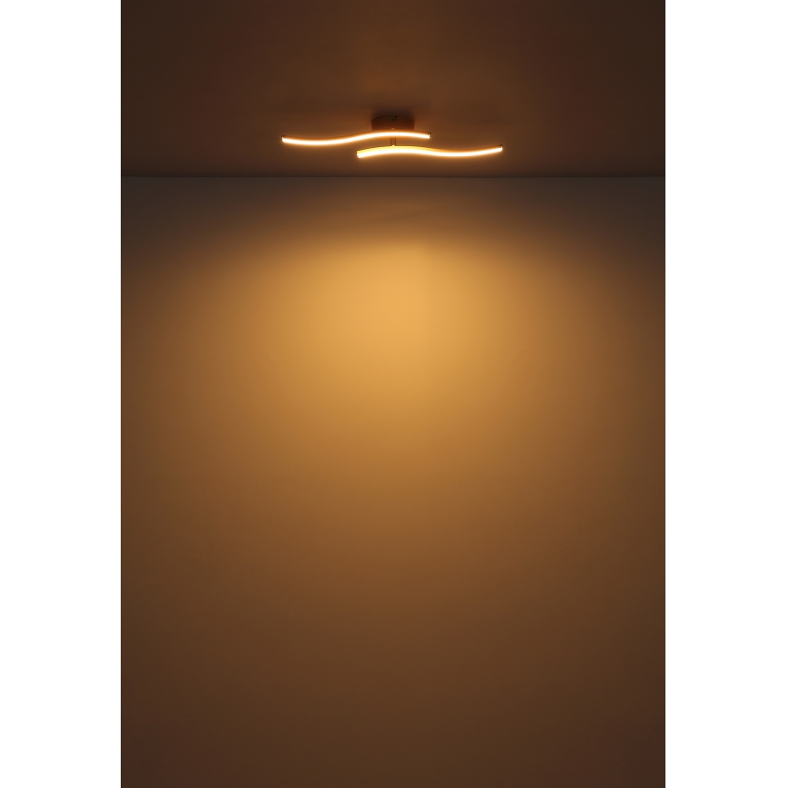 Globo - LED Ant pagrindo montuojamas sietynas LED/12W/230V 3000K balta
