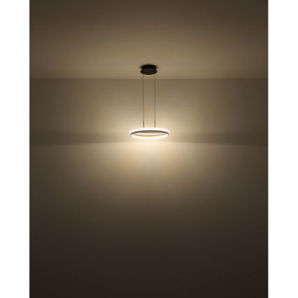 Globo - LED Pakabinamas sietynas LED/40W/230V 3000/4000/6000K diametras 39,7 cm ruda