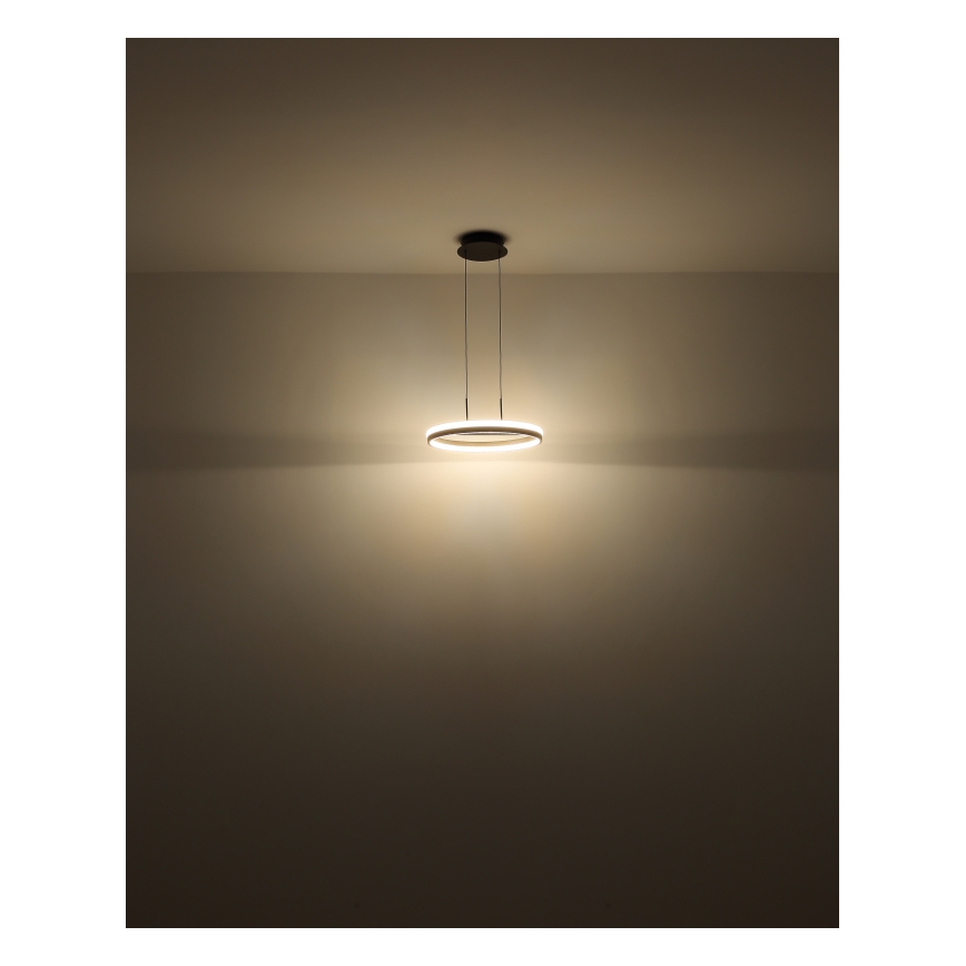 Globo - LED Pakabinamas sietynas LED/40W/230V 3000/4000/6000K diametras 39,7 cm ruda