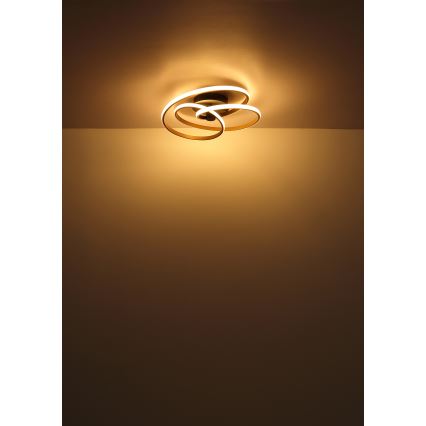 Globo - LED Ant pagrindo montuojamas sietynas LED/40W/230V 3000K matinis chromas/juoda