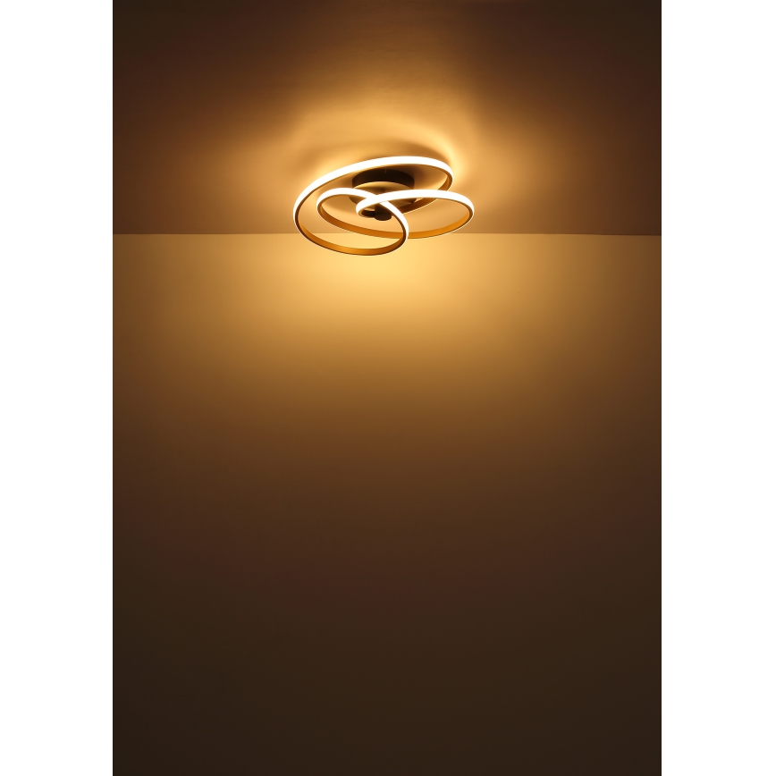 Globo - LED Ant pagrindo montuojamas sietynas LED/40W/230V 3000K matinis chromas/juoda