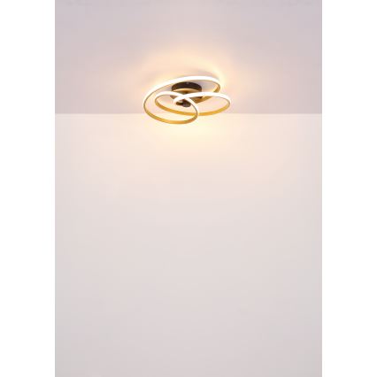 Globo - LED Ant pagrindo montuojamas sietynas LED/40W/230V 3000K matinis chromas/juoda
