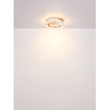 Globo - LED Pritemdomi krištoliniai lubiniai šviestuvai LED/36W/230V 2700K-6000K + nuotolinio valdymo pultas