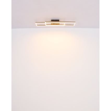 Globo - LED lubinis šviestuvas LED/30W/230V 3000K 60x80 cm juoda