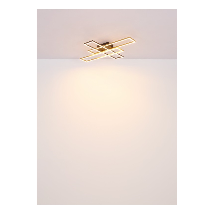 Globo - LED lubinis šviestuvas LED/40W/230V 3000K 60x80 cm juoda/auksas